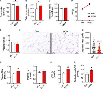 PPARδ Attenuates Alcohol-Mediated Insulin Resistance by Enhancing Fatty Acid-Induced Mitochondrial Uncoupling and Antioxidant Defense in Skeletal Muscle